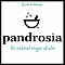 Pandrosia