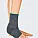 Lower Limbs