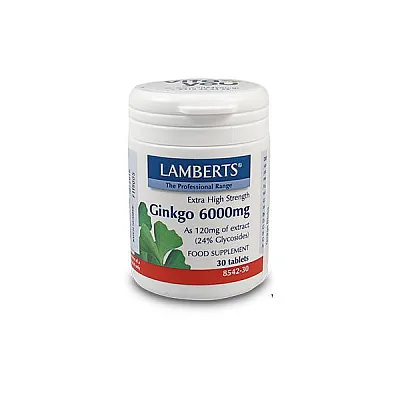 Lamberts Ginkgo Biloba Extract - Κυκλοφορία του Αίματος - Μνήμη 6000mg, 30 Tablets