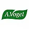 A.Vogel