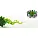 Area cleaning-Disinfection