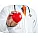 Heart and Circulatory