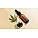 Hemp Oil