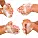 Bactericides & Disinfectants - Antiseptics