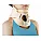 Neck