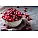 Cranberry