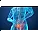 Prostate